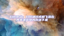 白蟻防治:白蟻通過成群飛落在各類建筑物內存活下來