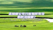 殺蟑螂公司分析如何有效的防治蟑螂?