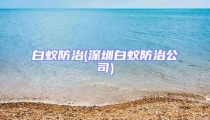 白蟻防治(深圳白蟻防治公司)