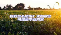 白蟻怎么防治?滅白蟻公司提出專業方案