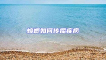 蟑螂如何傳播疾病
