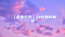 【殺蟲公司】白蟻如何解決