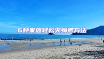 6種家庭輕松滅蟑螂方法