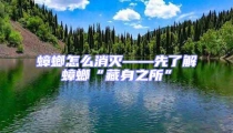 蟑螂怎么消滅——先了解蟑螂“藏身之所”