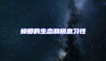 蟑螂的生態和棲息習性