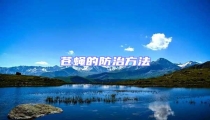 蒼蠅的防治方法