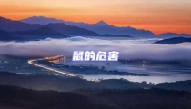 鼠的危害