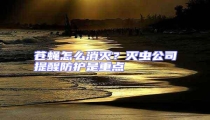 蒼蠅怎么消滅?滅蟲公司提醒防護是重點