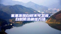 家里發現白蟻不可忽視,白蟻防治最佳方法