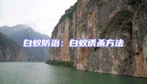 白蟻防治:白蟻誘殺方法