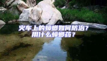 火車上的蟑螂如何防治?用什么蟑螂藥?