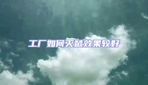 工廠如何滅鼠效果較好