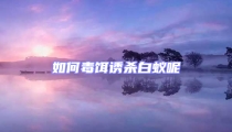 如何毒餌誘殺白蟻呢