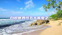 白蟻世界性五大害蟲之一