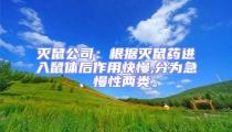 滅鼠公司:根據滅鼠藥進入鼠體后作用快慢,分為急、慢性兩類。