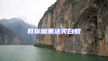 教你煙熏法滅白蟻