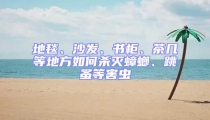地毯、沙發、書柜、茶幾等地方如何殺滅蟑螂、跳蚤等害蟲