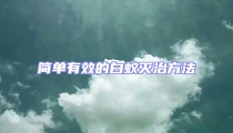 簡單有效的白蟻滅治方法