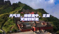 天氣冷,蟑螂集中,正是滅蟑好時(shí)機(jī)