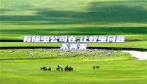 有除蟲公司在,讓蚊蟲問題不再來
