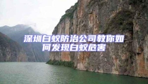 深圳白蟻防治公司教你如何發現白蟻危害