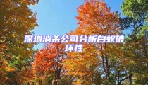 深圳消殺公司分析白蟻破壞性