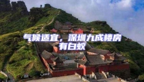 氣候適宜,深圳九成樓房有白蟻