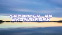 滅蟑螂的根本方法,殺蟑螂公司告訴你如何預防