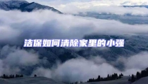 潔保如何清除家里的小強