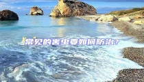 常見的害蟲要如何防治?