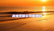 殺蟲滅鼠公司管用嗎
