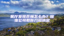 餐廳發(fā)現(xiàn)蒼蠅怎么辦?除蟲(chóng)公司教你幾招搞定