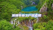 深圳專業工廠滅老鼠