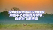 深圳白蟻防治所深圳白蟻防治中心春暖花開時節,白蟻分飛期來臨