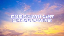 老鼠癇多選擇在什么地方如何鑒別洞內是否有鼠