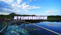 關(guān)于白蟻的知識(shí)問答