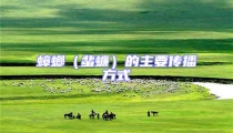 蟑螂(蜚蠊)的主要傳播方式
