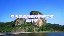 室內裝修白蟻預防施工要點詳解