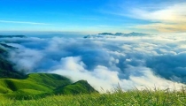 肇慶市民超市買(mǎi)臘肉 未開(kāi)封發(fā)現(xiàn)包裝內(nèi)有7只蟑螂