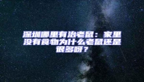 深圳哪里有治老鼠:家里沒有食物為什么老鼠還是很多呀?
