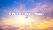室內裝修時別忘了防治白蟻