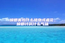 蟑螂害怕什么植物或者花，蟑螂討厭什么氣味