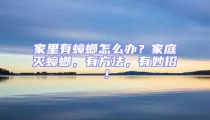 家里有蟑螂怎么辦?家庭滅蟑螂,有方法,有妙招!