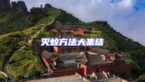 滅蚊方法大集結