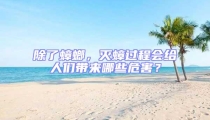 除了蟑螂,滅蟑過程會給人們帶來哪些危害?