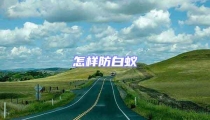 怎樣防白蟻
