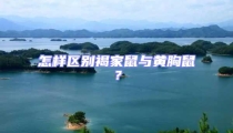 怎樣區別褐家鼠與黃胸鼠?