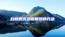 白蟻的滅治有很多種方法