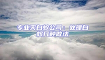 專業(yè)滅白蟻公司:處理白蟻幾種做法