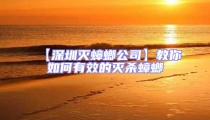 【深圳滅蟑螂公司】教你如何有效的滅殺蟑螂
